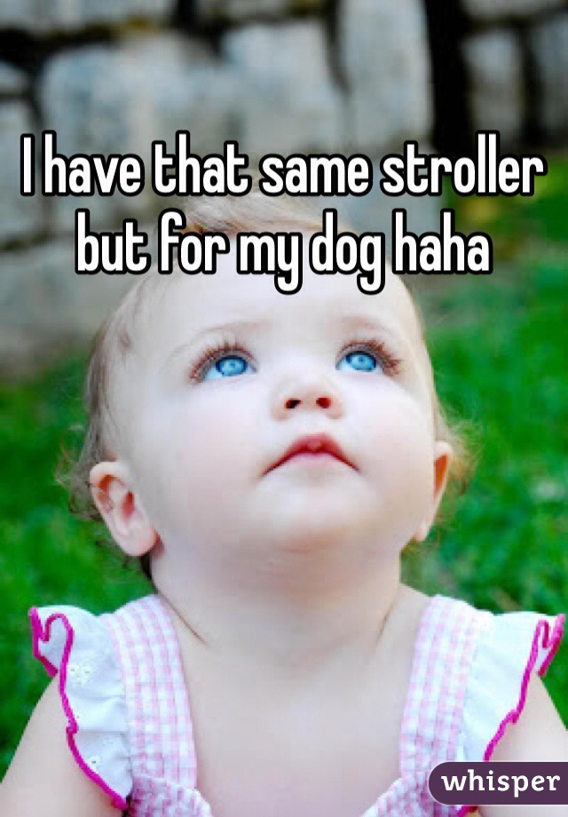 I have that same stroller but for my dog haha