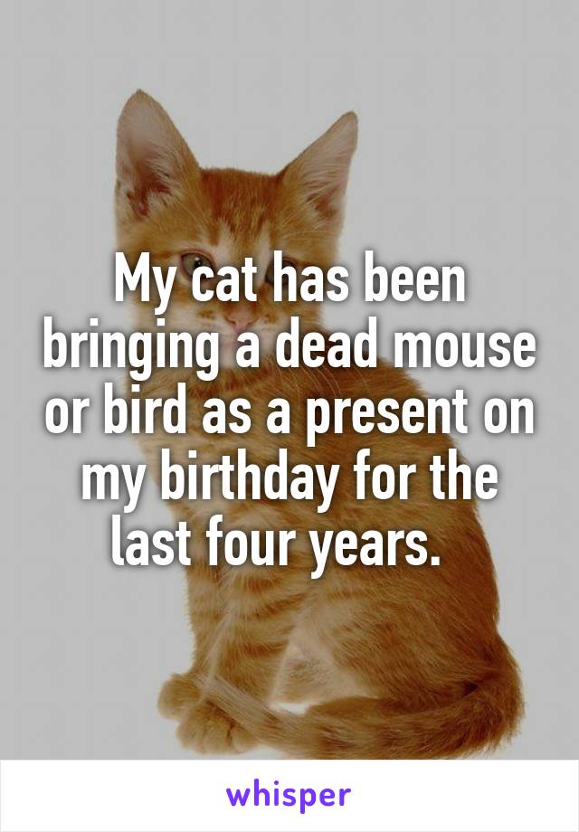 My cat has been bringing a dead mouse or bird as a present on my birthday for the last four years.  