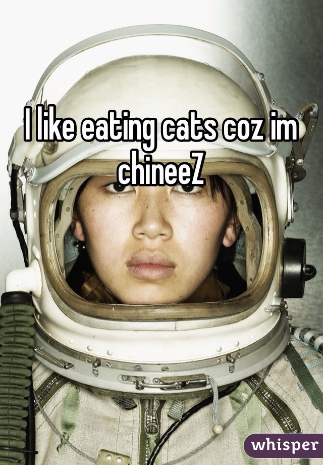 I like eating cats coz im chineeZ