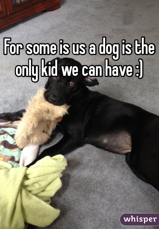 For some is us a dog is the only kid we can have :)