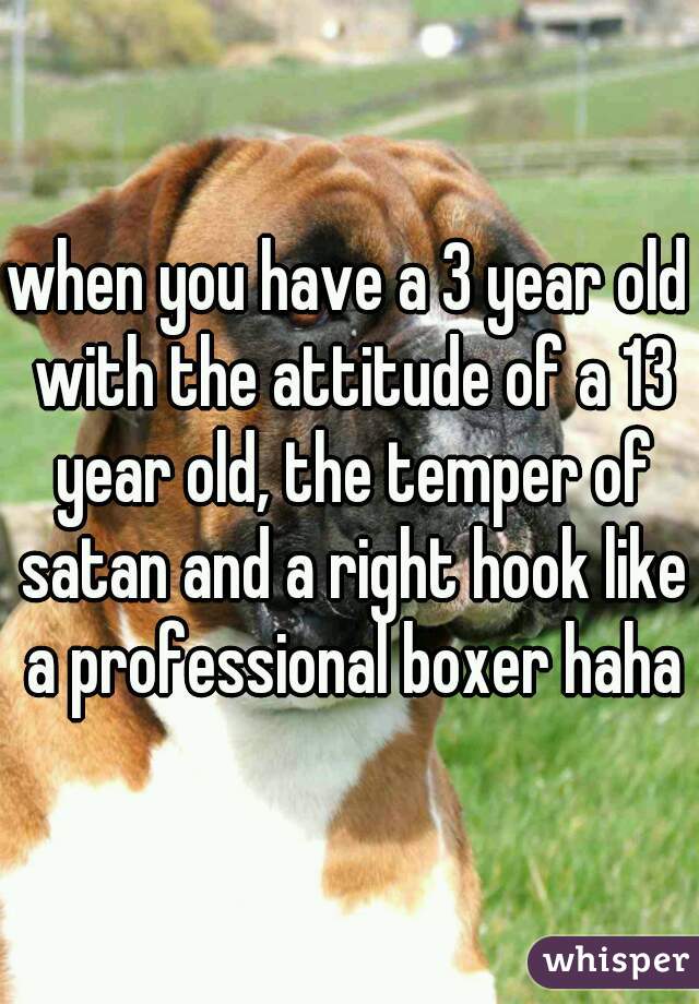 when you have a 3 year old with the attitude of a 13 year old, the temper of satan and a right hook like a professional boxer haha