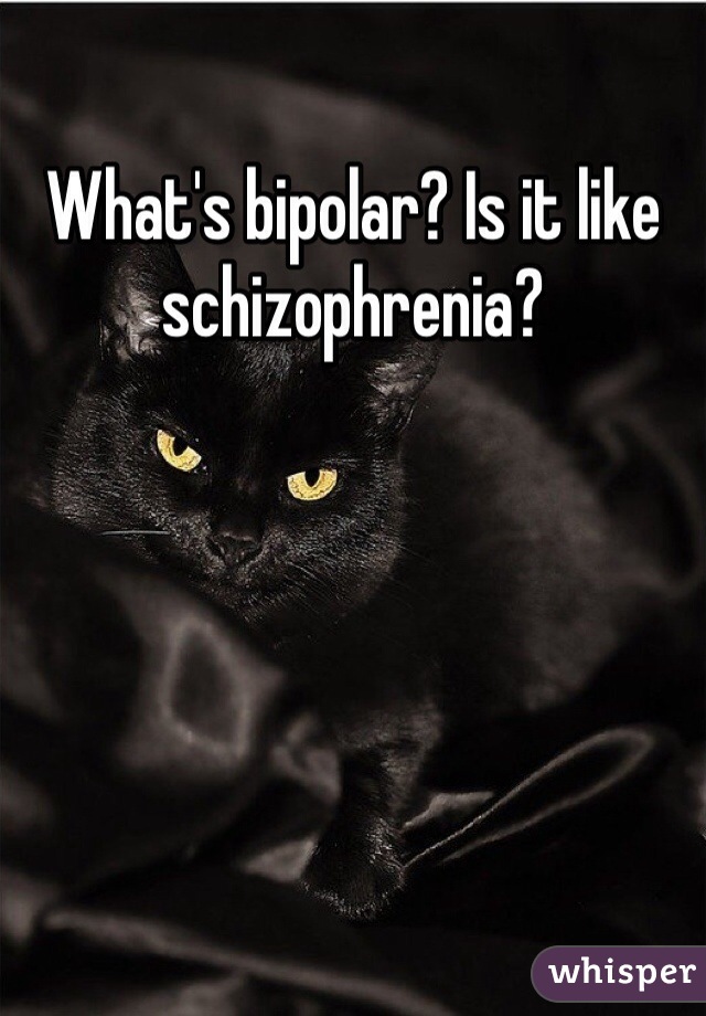 What's bipolar? Is it like schizophrenia?