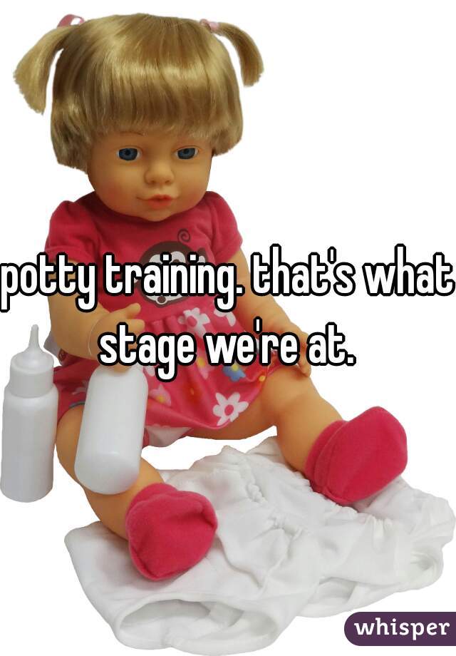 potty training. that's what stage we're at. 