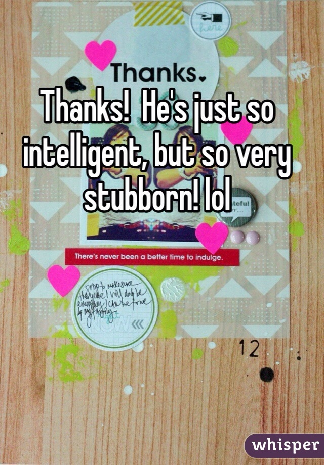 Thanks!  He's just so intelligent, but so very stubborn! lol