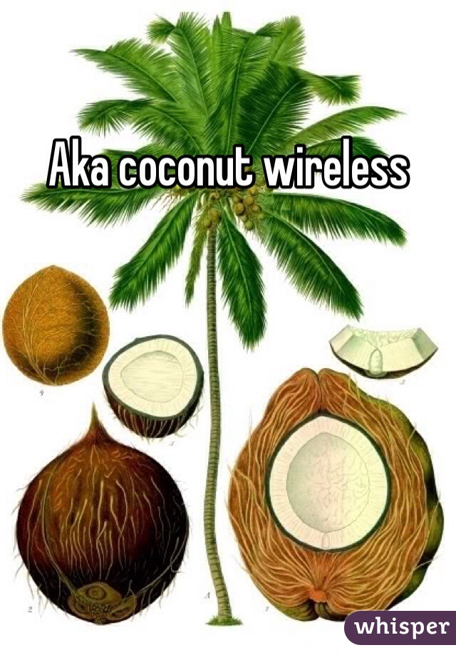 Aka coconut wireless