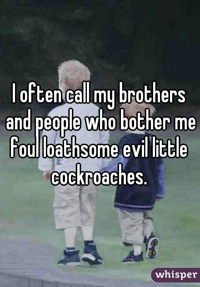 I often call my brothers and people who bother me
foul loathsome evil little cockroaches. 