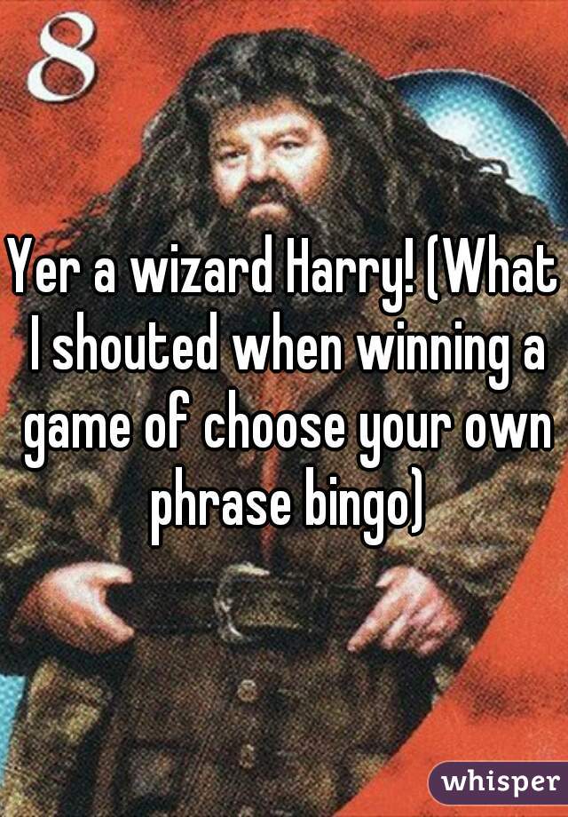 Yer a wizard Harry! (What I shouted when winning a game of choose your own phrase bingo)