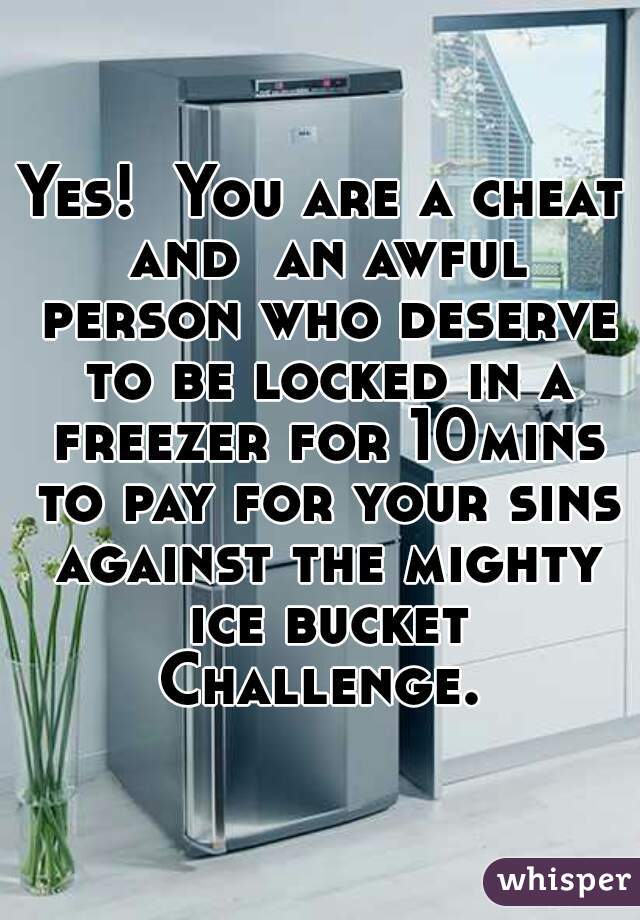 Yes!  You are a cheat and  an awful person who deserve to be locked in a freezer for 10mins to pay for your sins against the mighty ice bucket Challenge. 