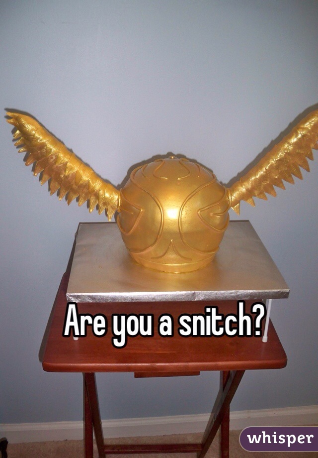 Are you a snitch?