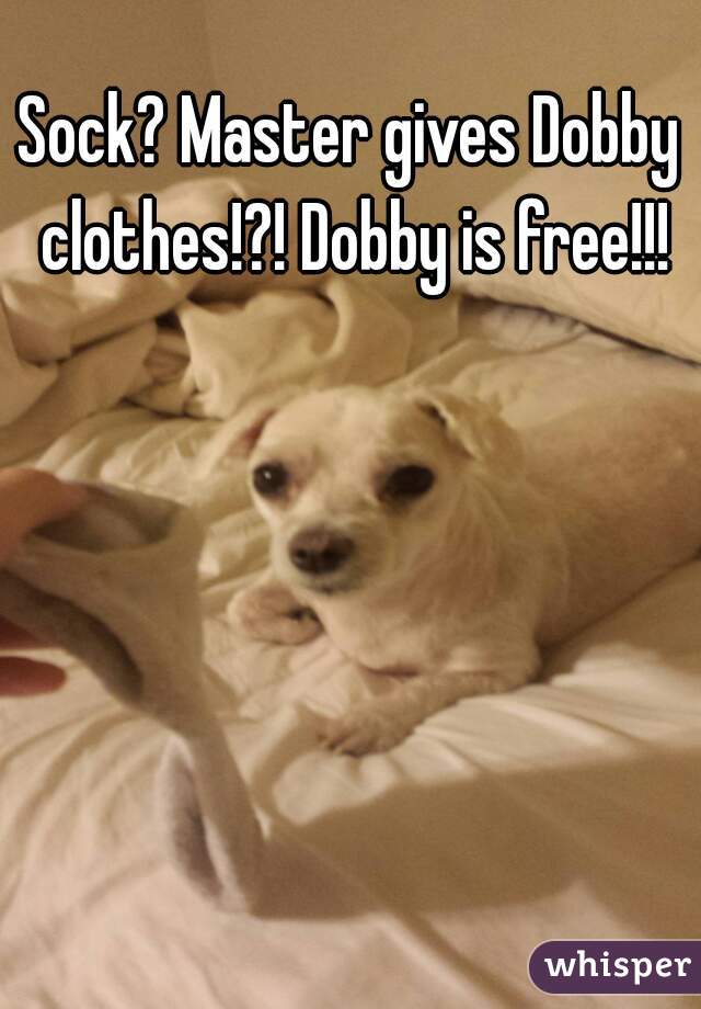 Sock? Master gives Dobby clothes!?! Dobby is free!!!