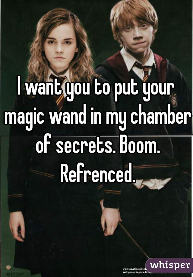 I want you to put your magic wand in my chamber of secrets. Boom. Refrenced.