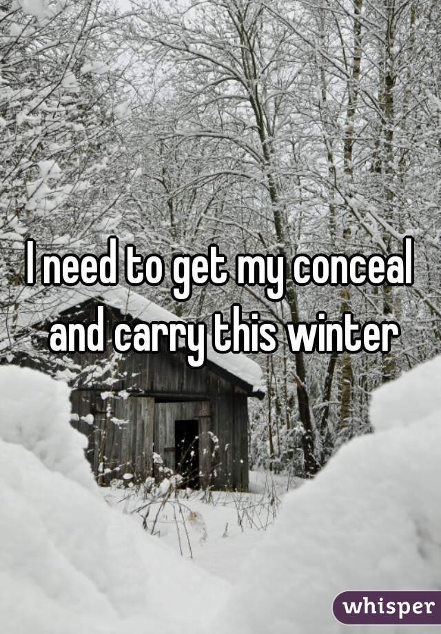 I need to get my conceal and carry this winter