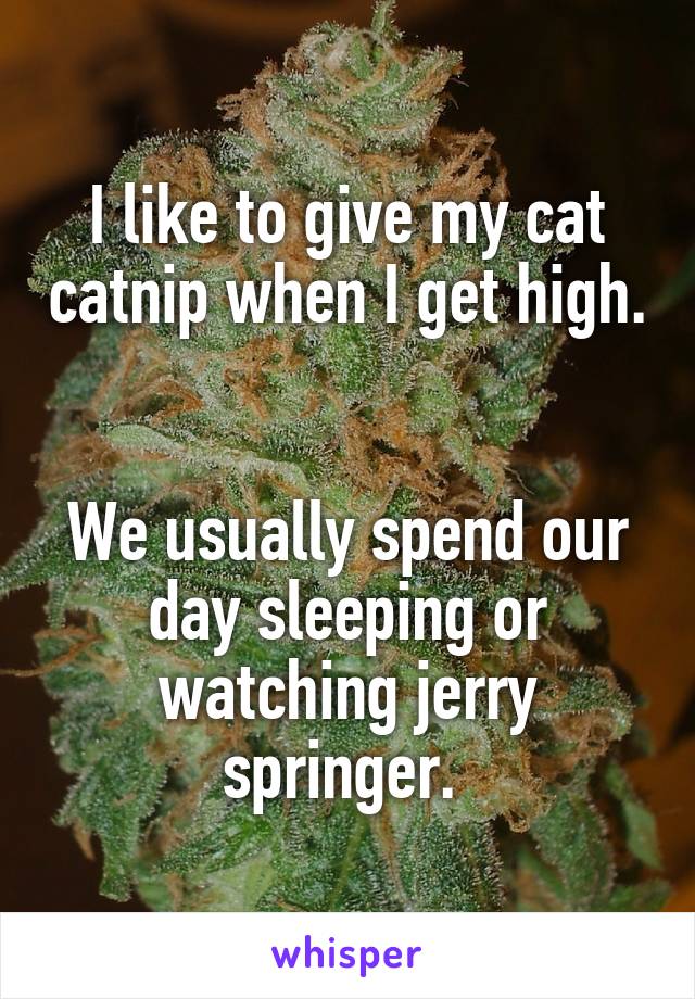 I like to give my cat catnip when I get high. 

We usually spend our day sleeping or watching jerry springer. 