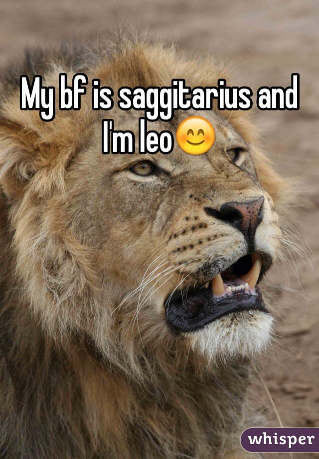 My bf is saggitarius and I'm leo😊