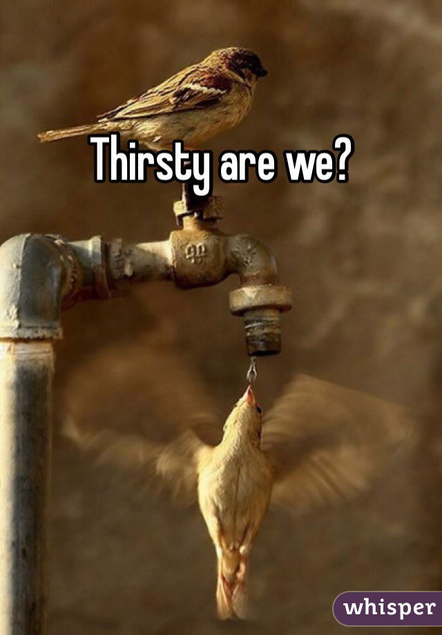 Thirsty are we?