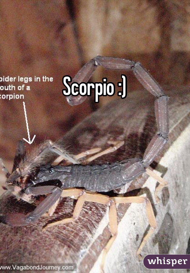 Scorpio :) 