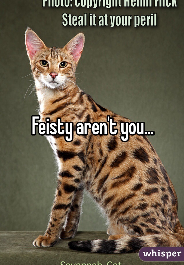 Feisty aren't you...
