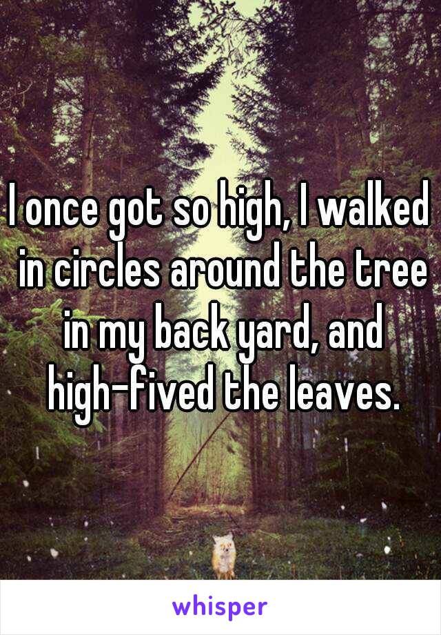 I once got so high, I walked in circles around the tree in my back yard, and high-fived the leaves.