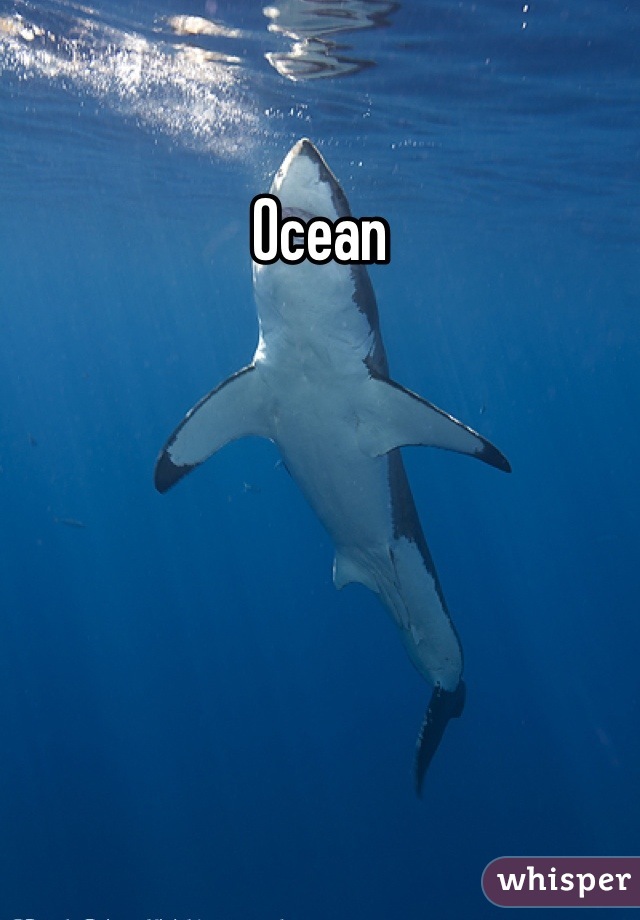 Ocean