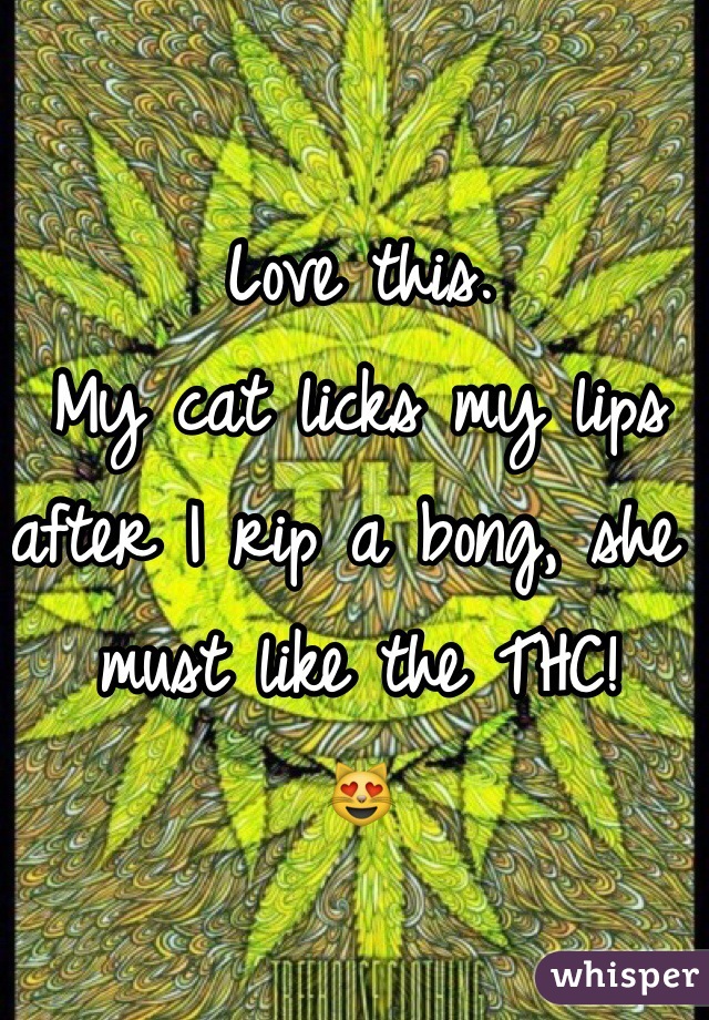 Love this. 
My cat licks my lips after I rip a bong, she must like the THC! 
😻