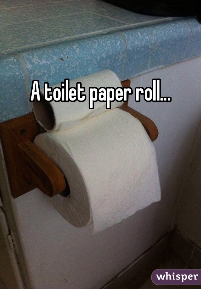 A toilet paper roll...