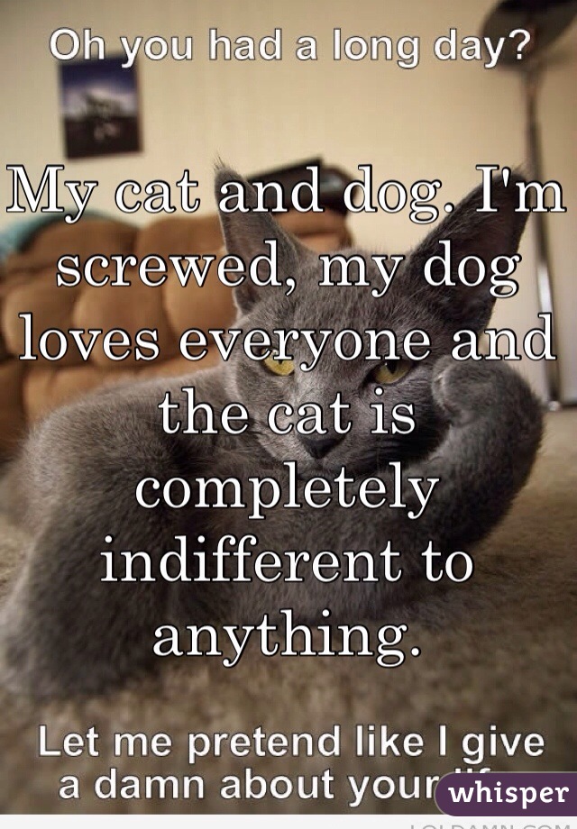 My cat and dog. I'm screwed, my dog loves everyone and the cat is completely indifferent to anything.