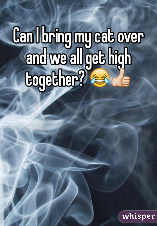 Can I bring my cat over and we all get high together? 😂👍