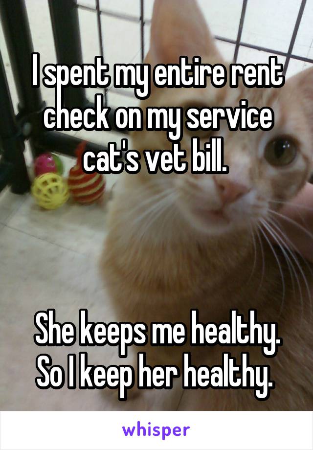 I spent my entire rent check on my service cat's vet bill. 



She keeps me healthy. So I keep her healthy. 