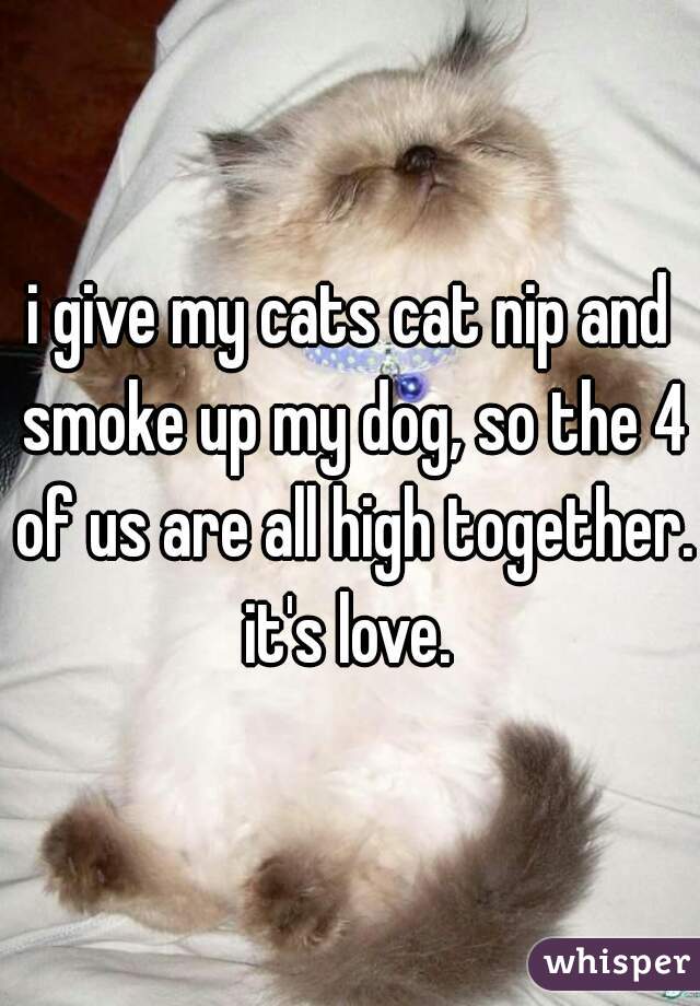 i give my cats cat nip and smoke up my dog, so the 4 of us are all high together. it's love. 