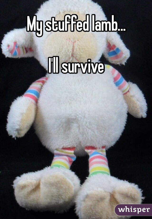 My stuffed lamb...

I'll survive