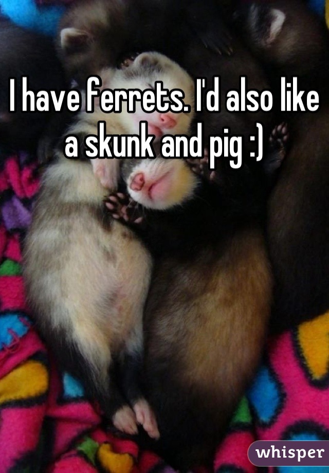 I have ferrets. I'd also like a skunk and pig :)