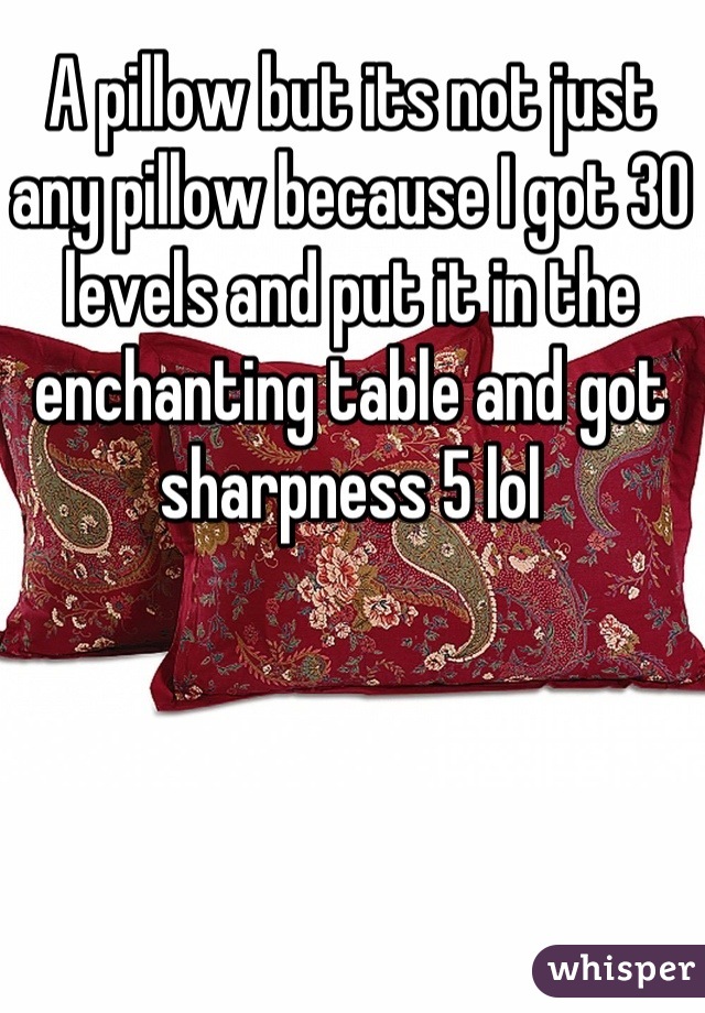 A pillow but its not just any pillow because I got 30 levels and put it in the enchanting table and got sharpness 5 lol