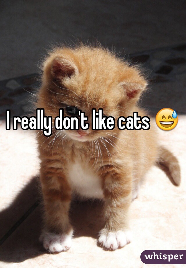 I really don't like cats 😅