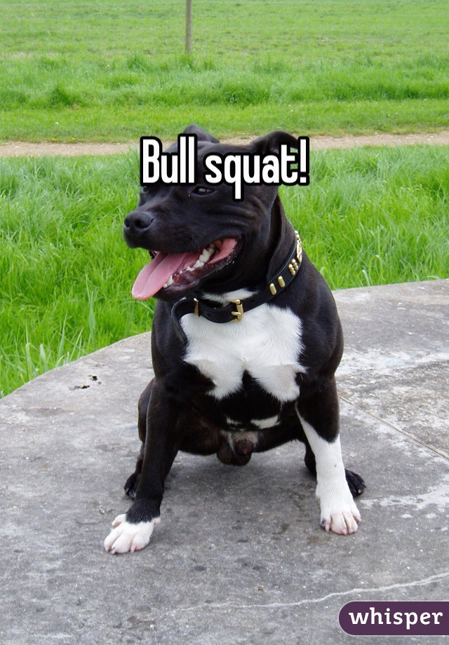 Bull squat!