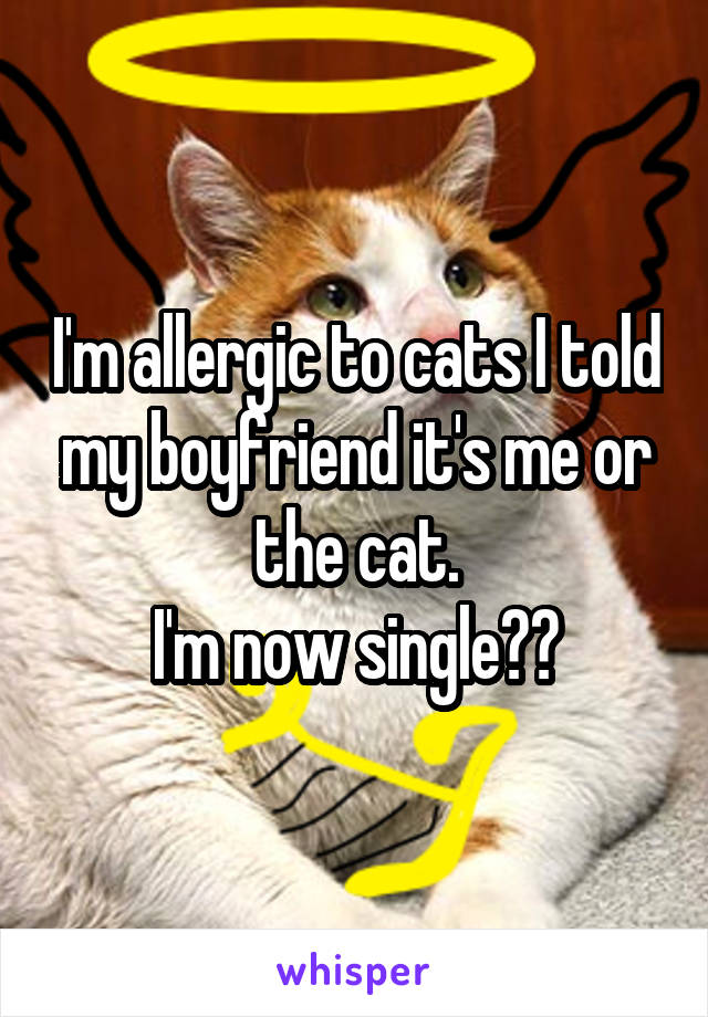 I'm allergic to cats I told my boyfriend it's me or the cat.
I'm now single😊😊