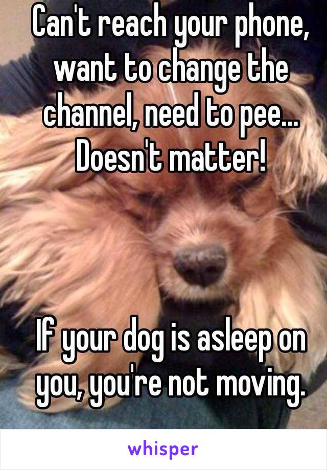 Can't reach your phone, want to change the channel, need to pee... Doesn't matter!



If your dog is asleep on you, you're not moving.