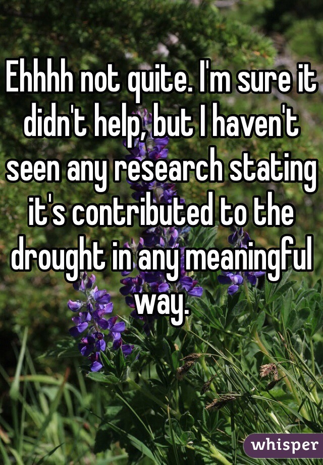 Ehhhh not quite. I'm sure it didn't help, but I haven't seen any research stating it's contributed to the drought in any meaningful way.