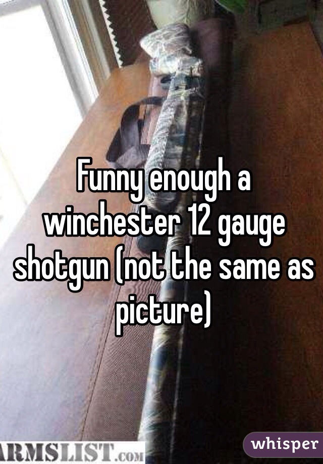 Funny enough a winchester 12 gauge shotgun (not the same as picture)