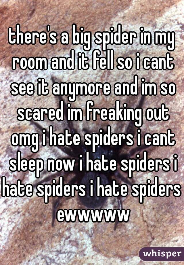 there's a big spider in my room and it fell so i cant see it anymore and im so scared im freaking out omg i hate spiders i cant sleep now i hate spiders i hate spiders i hate spiders  ewwwww