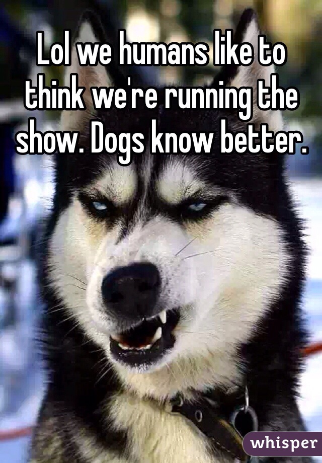 Lol we humans like to think we're running the show. Dogs know better. 