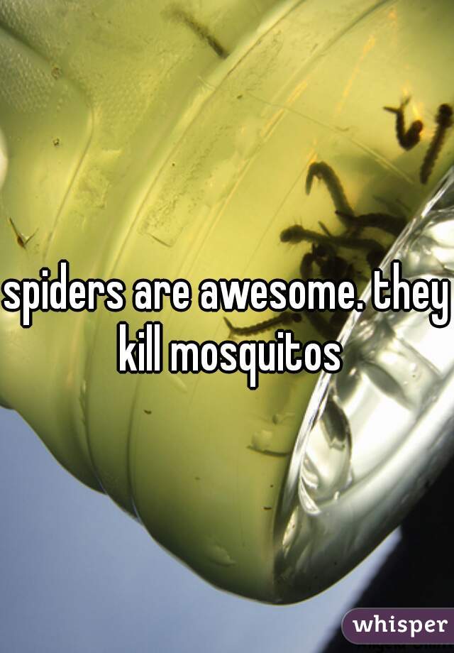 spiders are awesome. they kill mosquitos
