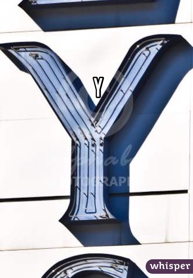  Y