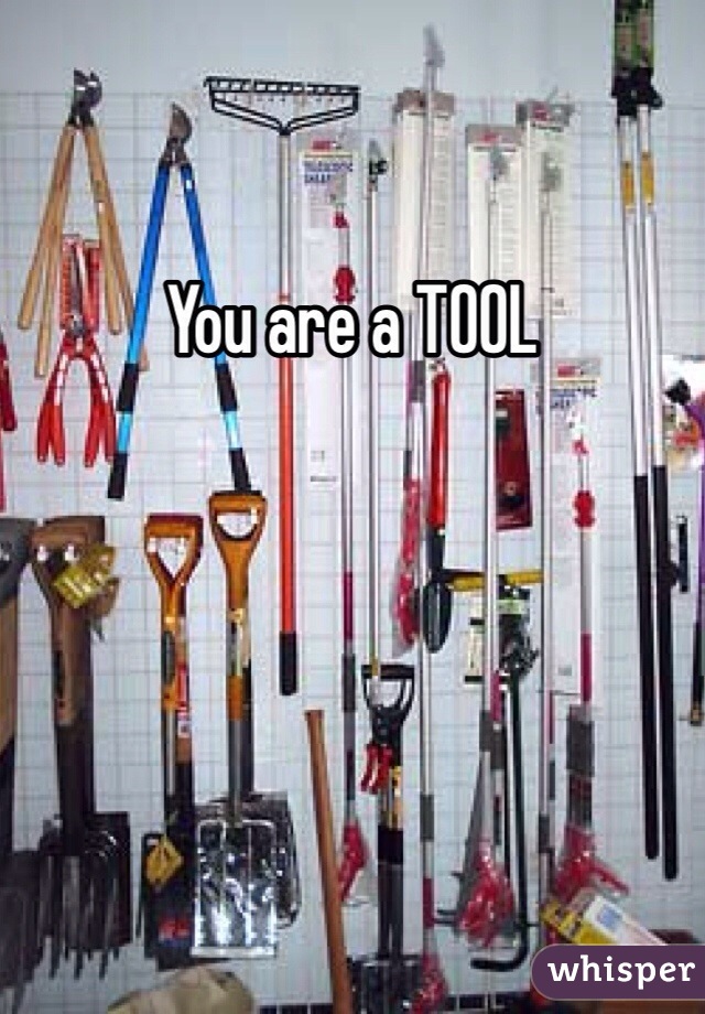 You are a TOOL