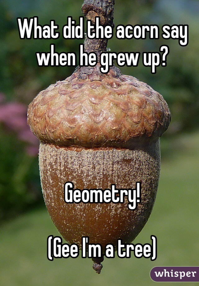 What did the acorn say when he grew up? Geometry (Gee I m a tree)