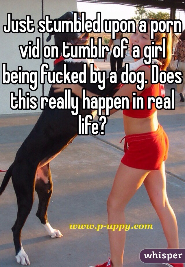 Just stumbled upon a porn vid on tumblr of a girl being fucked by a dog.