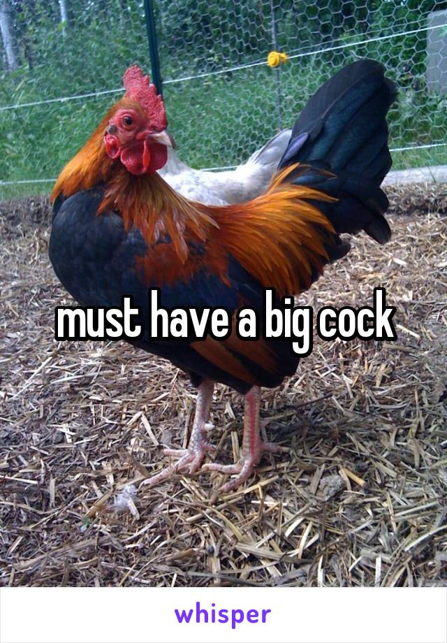 must have a big cock