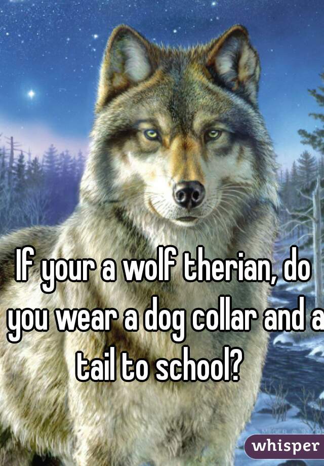 If your a wolf therian, do you wear a dog collar and a tail to school?  