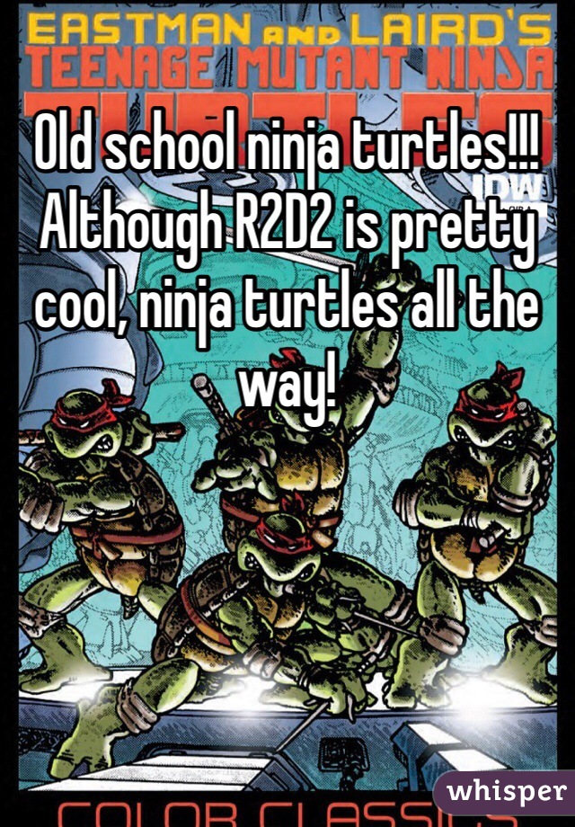Old school ninja turtles!!! Although R2D2 is pretty cool, ninja turtles all the way!