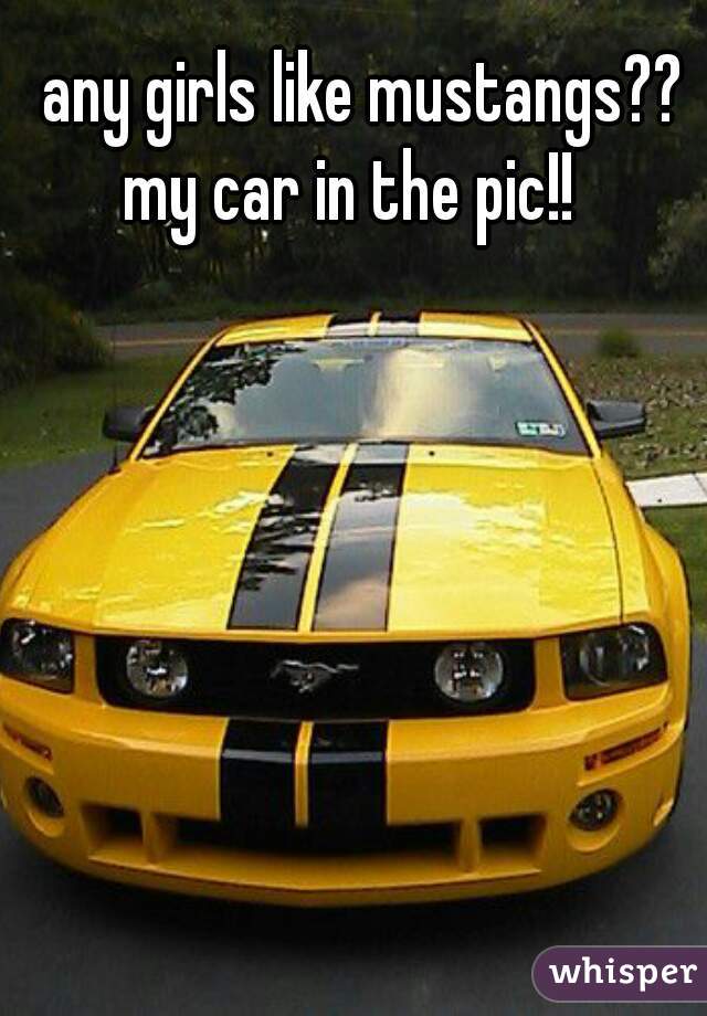 any girls like mustangs??
my car in the pic!!  