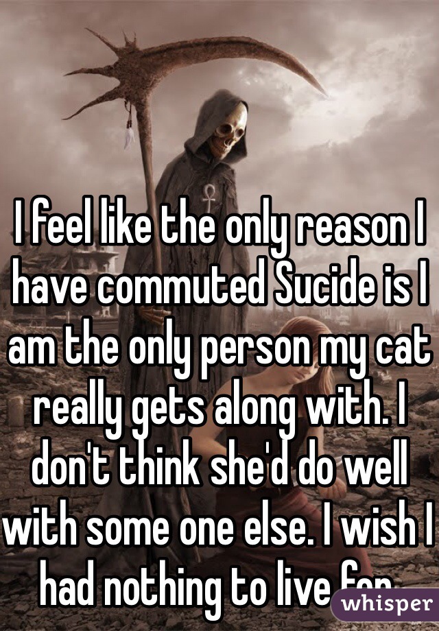 I feel like the only reason I have commuted Sucide is I am the only person my cat really gets along with. I don't think she'd do well with some one else. I wish I had nothing to live for. 